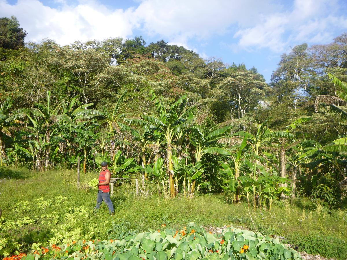Finca Lindos Ojos Estelí Exterior foto